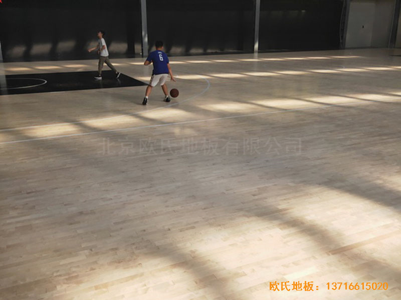 南陽驕陽體育籃球俱樂部運(yùn)動木地板安裝案例3