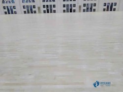 高品質(zhì)籃球運(yùn)動(dòng)木地板保修期
